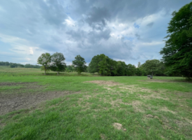 0E4C78E0-335F-452B-88F1-8436DA1789F5