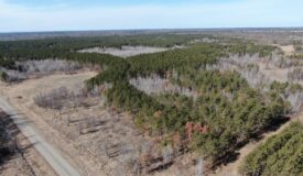 Juneau County WI 200-Acre Tract of Land