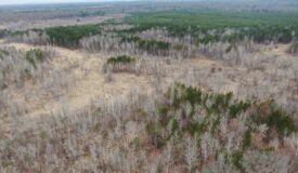 Juneau County WI 360 Acre Outdoor Paradise