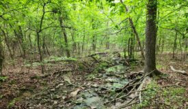 10 Acres – Prime Hunting Land with Utilities in Latimer County, OK