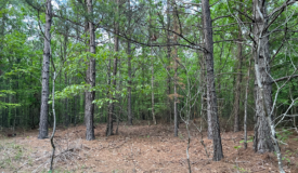 40 acres mol located just off of Wild Horse Trail in McCurtain, County, OK