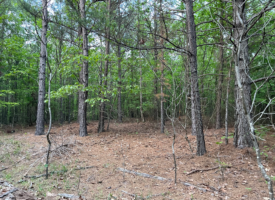 2B63027A-9257-432D-A142-C6A9670FB05D