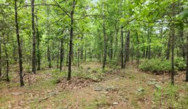 40 Acres – Off-Grid Mountain Getaway in Bengal, Oklahoma
