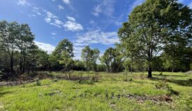 120 Acre Sportsman Paradise Choctaw County OK
