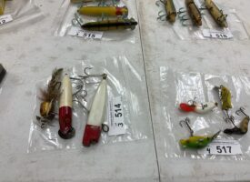 Photo Jun 13 2025, 10 51 39 AM