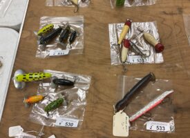 Photo Jun 13 2025, 10 51 51 AM