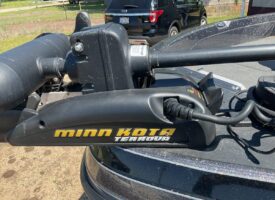 Photo May 12 2025, 12 03 35 PM