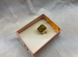 Photo May 21 2025, 11 14 08 AM