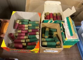 Photo May 21 2025, 11 24 36 AM