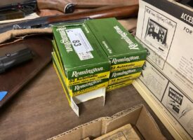 Photo May 21 2025, 11 24 44 AM