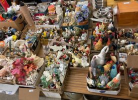 Photo May 21 2025, 11 29 51 AM