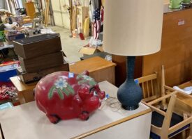 Photo May 21 2025, 11 31 16 AM