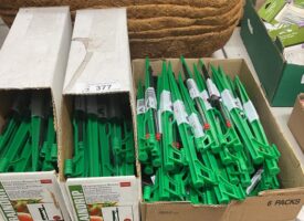 Photo May 23 2025, 11 08 53 AM