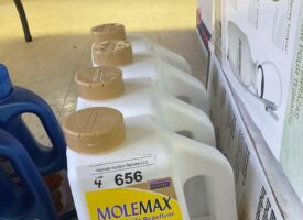 Photo May 23 2025, 11 13 17 AM