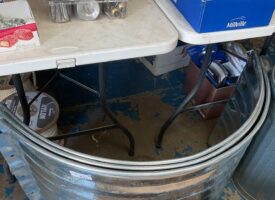 Photo May 23 2025, 11 16 43 AM