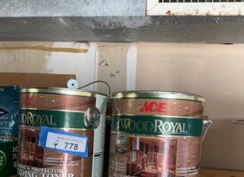 Photo May 23 2025, 11 24 43 AM