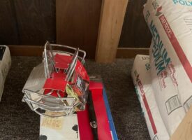 Photo May 23 2025, 11 25 51 AM