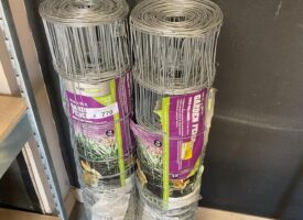 Photo May 23 2025, 11 28 39 AM