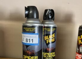 Photo May 23 2025, 11 46 31 AM