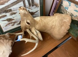 Photo May 30 2025, 12 20 41 PM