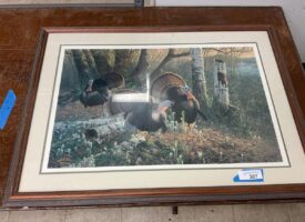 Photo May 30 2025, 12 22 33 PM