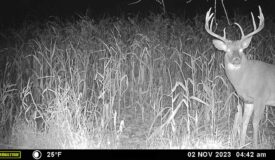 Recreational Paradise in the Driftless Area – 40-Acre Haven in Vernon County, WI