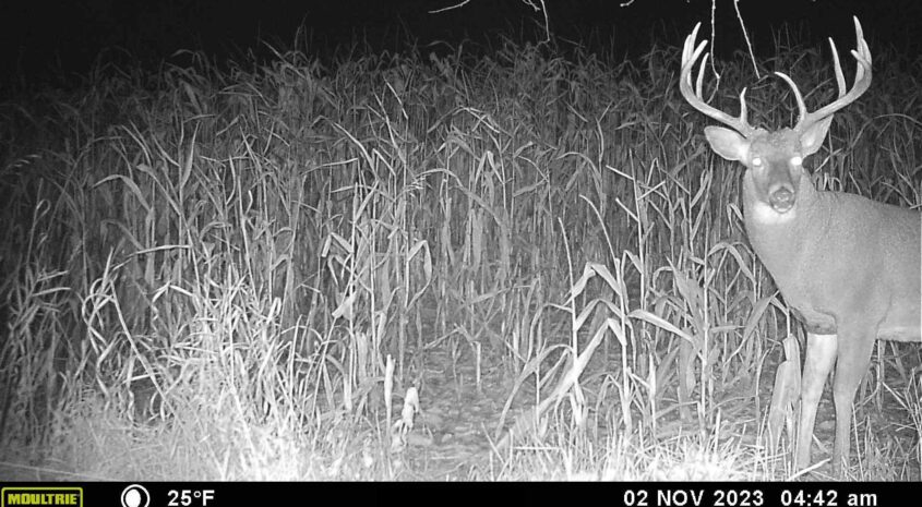MOULTRIE DIGITAL GAME CAMERA