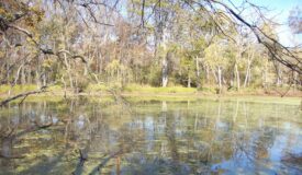 Private 2.2-Acre Camp Site with Power Columbia County WI