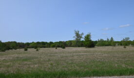 10 Acres in Kalkaska MI with Additional Available