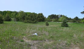 10 Acre Kalkaska MI Lot for Sale