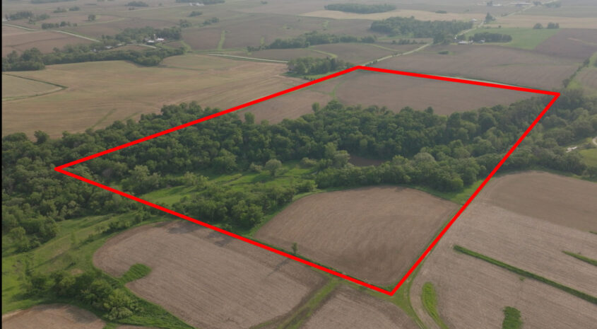 Falk_Parcel 1-20