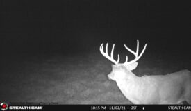 Hunting and Fishing Property for sale in Richland County, Wisconsin