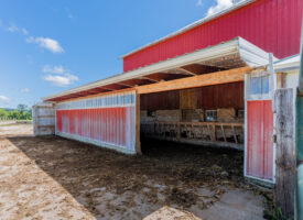 Bangor Auction-17