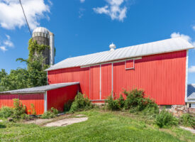 Bangor Auction-20