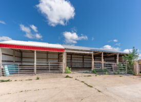 Bangor Auction-21