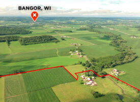 Bangor Auction-52