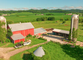 Bangor Auction-58