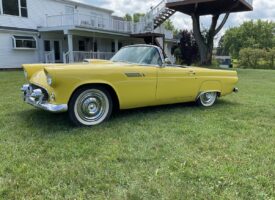 Photo Jul 08 2025, 1 24 58 PM