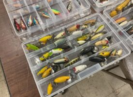 Photo Jul 11 2025, 10 43 35 AM