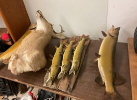 Photo Jul 11 2025, 10 44 28 AM