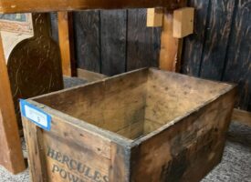 Photo Jul 25 2025, 12 03 45 PM