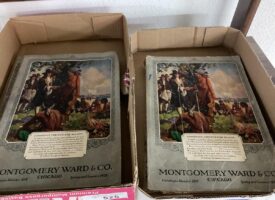 Photo Jul 25 2025, 12 10 48 PM