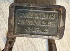 Photo Jul 27 2025, 10 50 22 AM