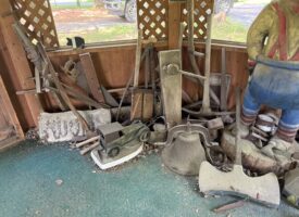 Photo Jul 27 2025, 10 56 55 AM