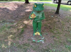 Photo Jul 27 2025, 11 36 37 AM