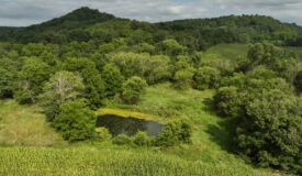 Land with Trout Stream for Sale in Richland County, Wisconsin