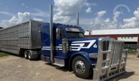 Sleeper Truck and Livestock Trailer in WI Online Only Auction