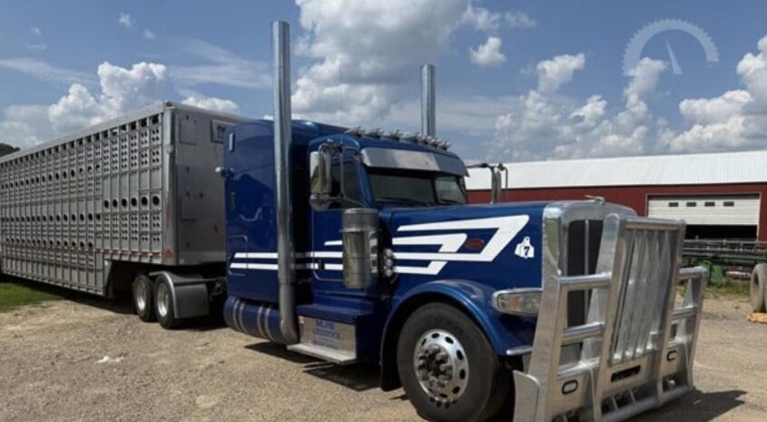 Sleeper Truck and Livestock Trailer in WI Online Only Auction