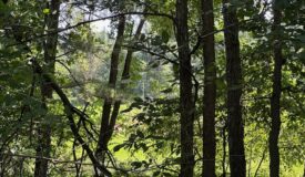 Beautiful Wooded Lot on the 18th Green of Golf Resort Arkdale, WI