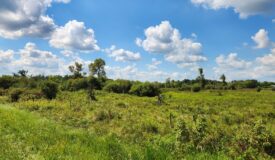 Trophy Whitetail Deer Hunting Columbia County WI